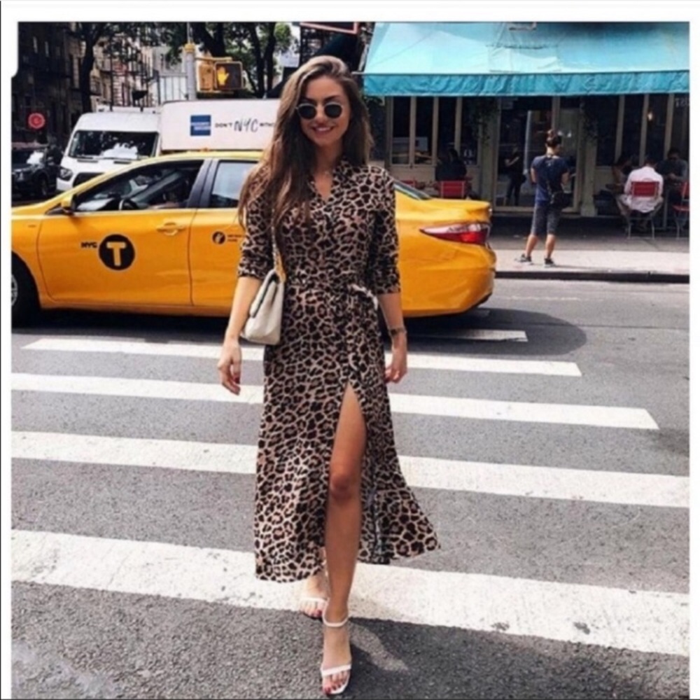Animal print dress Zara